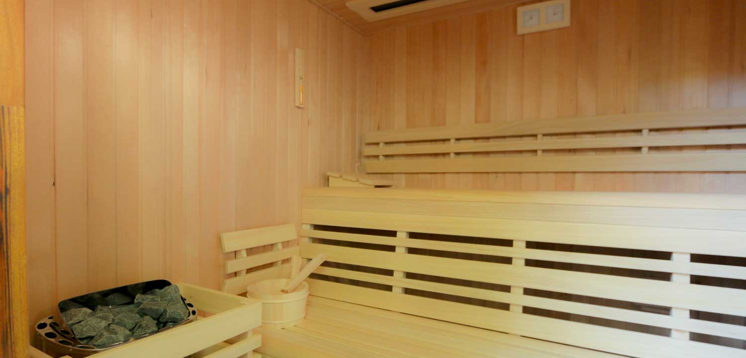 Sauna-Fins-en-Infrarood-bij-vakantielodge-de-Rietreiger-Grou_interieur